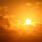 律师可能是最好的一人公司形态